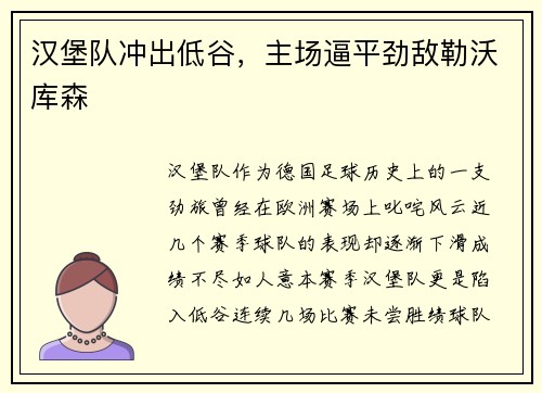 汉堡队冲出低谷，主场逼平劲敌勒沃库森
